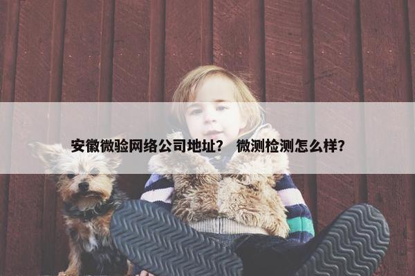 安徽微验网络公司地址？ 微测检测怎么样？