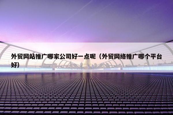 外贸网站推广哪家公司好一点呢（外贸网络推广哪个平台好）
