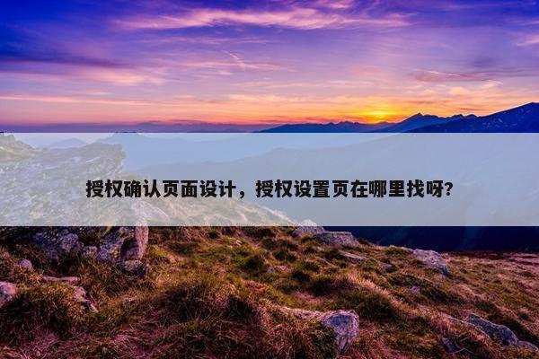授权确认页面设计，授权设置页在哪里找呀?