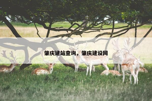 肇庆建站查询，肇庆建设网