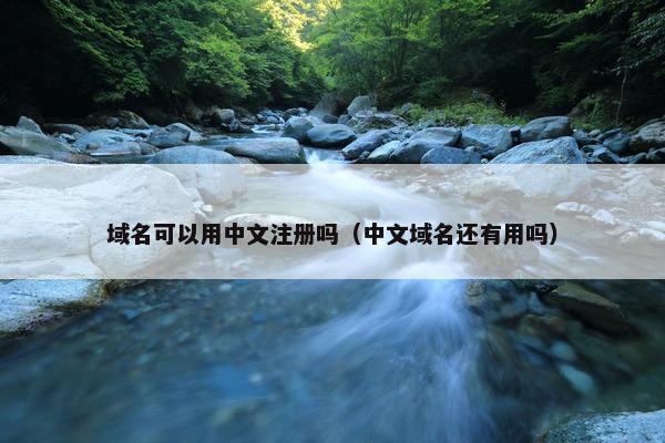 域名可以用中文注册吗（中文域名还有用吗）