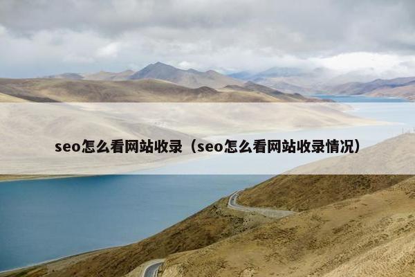 seo怎么看网站收录（seo怎么看网站收录情况）