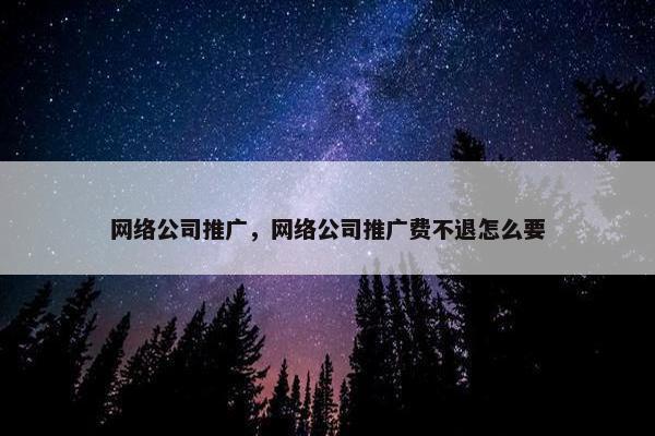 网络公司推广，网络公司推广费不退怎么要