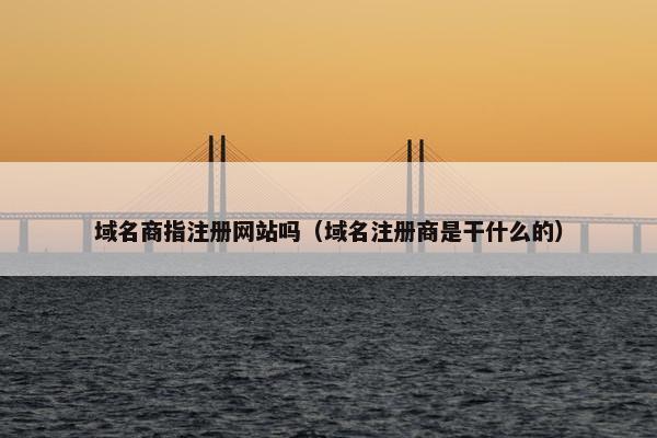 域名商指注册网站吗（域名注册商是干什么的）