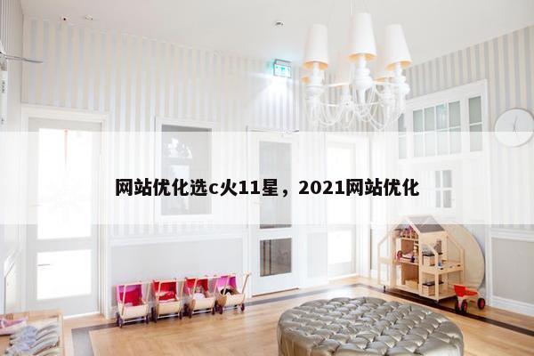网站优化选c火11星，2021网站优化
