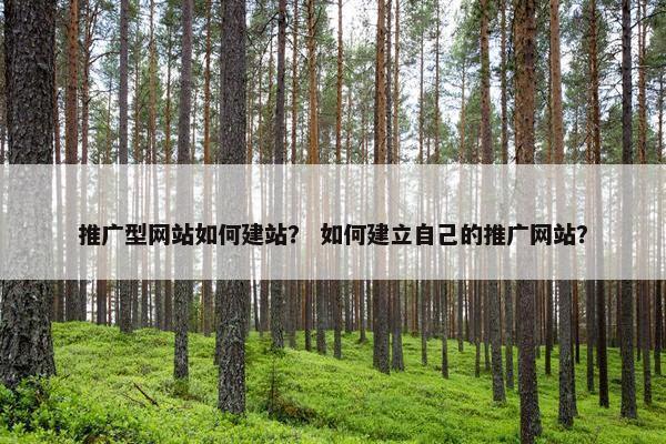 推广型网站如何建站？ 如何建立自己的推广网站？