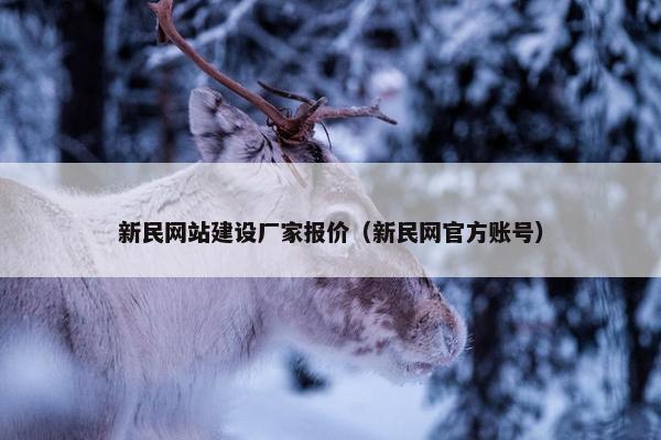 新民网站建设厂家报价（新民网官方账号）