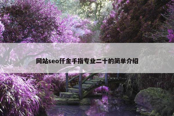 网站seo仟金手指专业二十的简单介绍