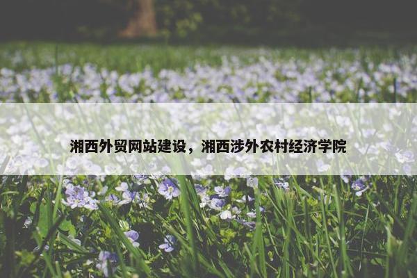 湘西外贸网站建设，湘西涉外农村经济学院