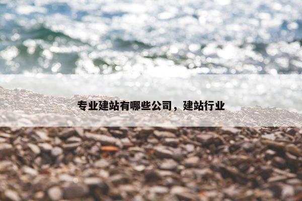 专业建站有哪些公司，建站行业