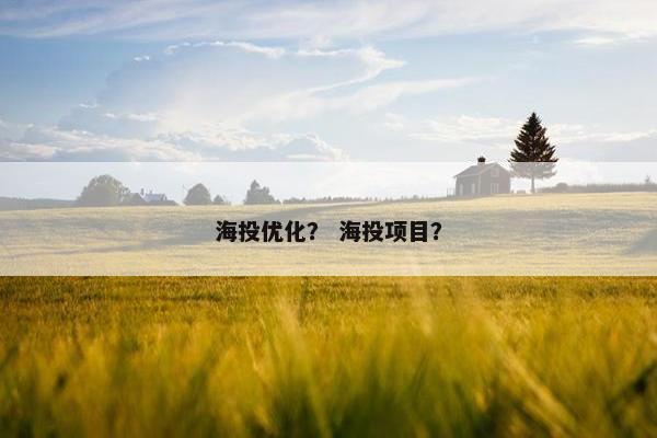 海投优化？ 海投项目？
