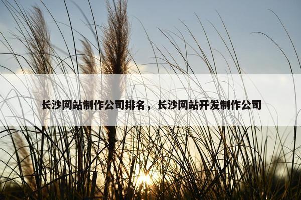 长沙网站制作公司排名，长沙网站开发制作公司