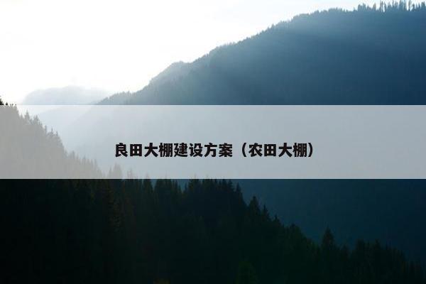 良田大棚建设方案（农田大棚）