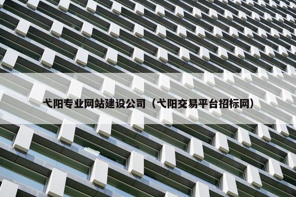 弋阳专业网站建设公司（弋阳交易平台招标网）