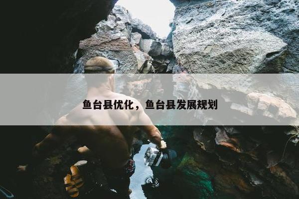 鱼台县优化，鱼台县发展规划