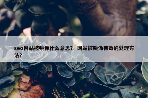 seo网站被镜像什么意思？ 网站被镜像有效的处理方法？