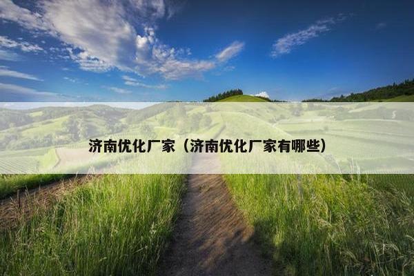 济南优化厂家（济南优化厂家有哪些）