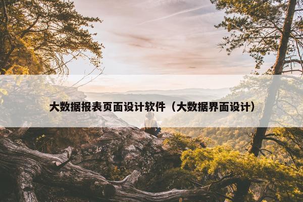 大数据报表页面设计软件（大数据界面设计）
