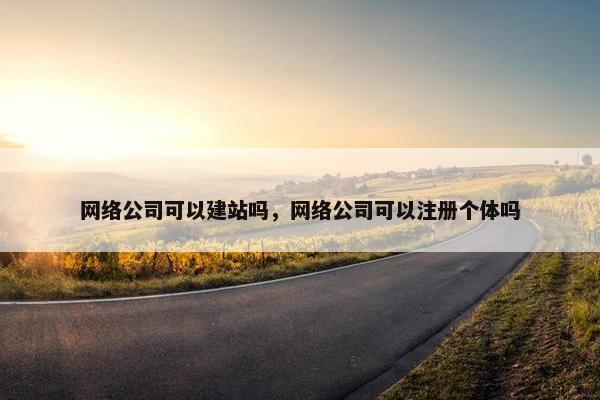 网络公司可以建站吗，网络公司可以注册个体吗