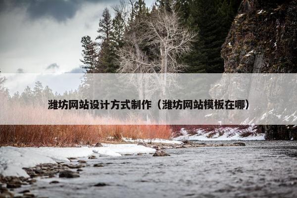潍坊网站设计方式制作（潍坊网站模板在哪）