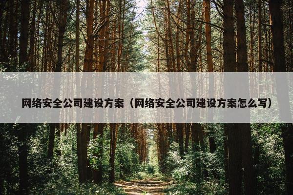 网络安全公司建设方案（网络安全公司建设方案怎么写）