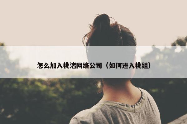 怎么加入桃渚网络公司（如何进入桃组）