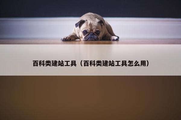 百科类建站工具（百科类建站工具怎么用）