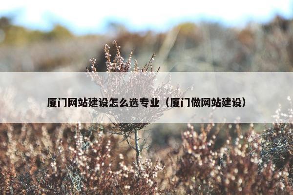厦门网站建设怎么选专业（厦门做网站建设）