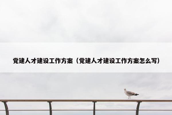 党建人才建设工作方案（党建人才建设工作方案怎么写）