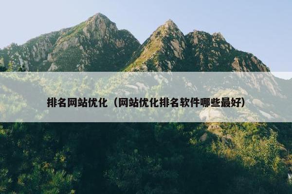 排名网站优化（网站优化排名软件哪些最好）