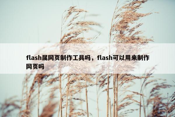 flash属网页制作工具吗，flash可以用来制作网页吗