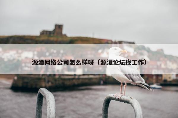 源潭网络公司怎么样呀（源潭论坛找工作）
