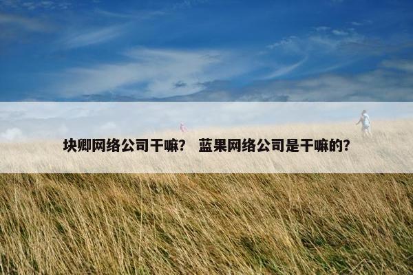 块卿网络公司干嘛？ 蓝果网络公司是干嘛的？