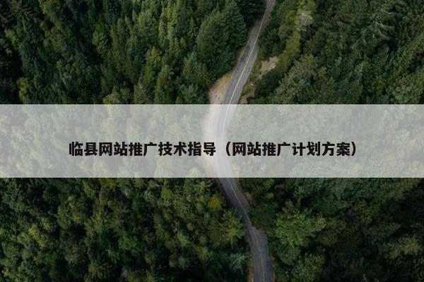 临县网站推广技术指导（网站推广计划方案）