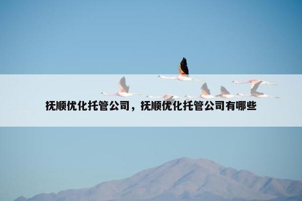 抚顺优化托管公司，抚顺优化托管公司有哪些