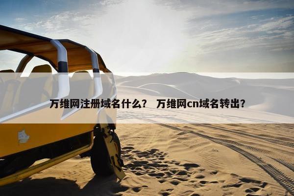 万维网注册域名什么？ 万维网cn域名转出？