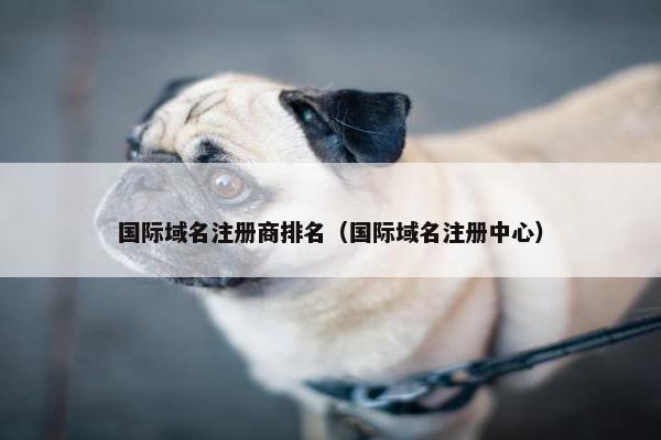 国际域名注册商排名（国际域名注册中心）