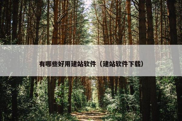 有哪些好用建站软件（建站软件下载）