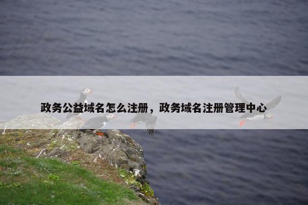 政务公益域名怎么注册，政务域名注册管理中心