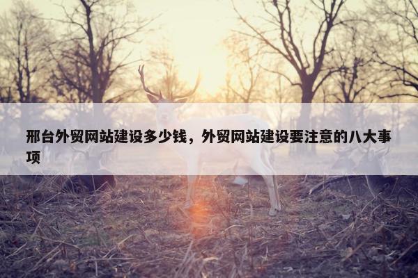 邢台外贸网站建设多少钱，外贸网站建设要注意的八大事项