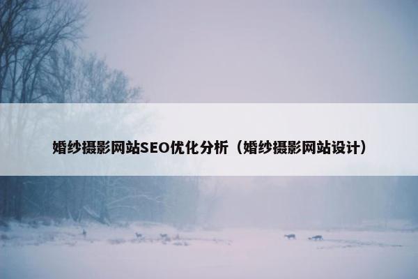 婚纱摄影网站SEO优化分析（婚纱摄影网站设计）