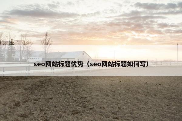 seo网站标题优势（seo网站标题如何写）