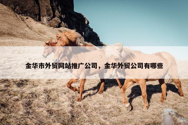 金华市外贸网站推广公司，金华外贸公司有哪些