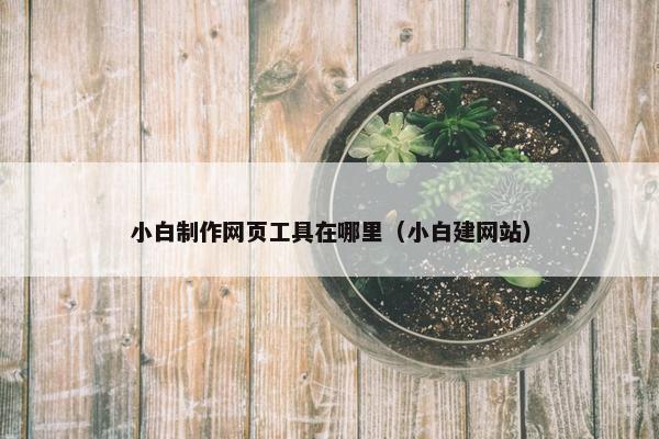小白制作网页工具在哪里（小白建网站）