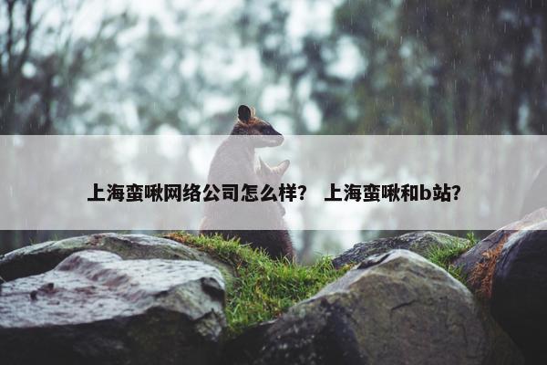 上海蛮啾网络公司怎么样？ 上海蛮啾和b站？