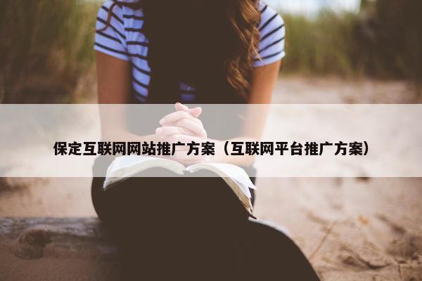 保定互联网网站推广方案（互联网平台推广方案）