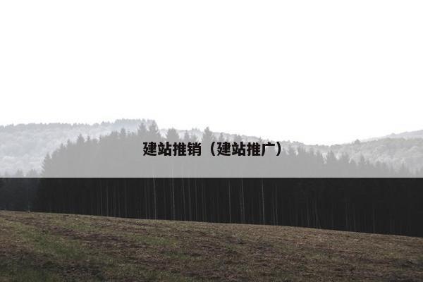 建站推销（建站推广）