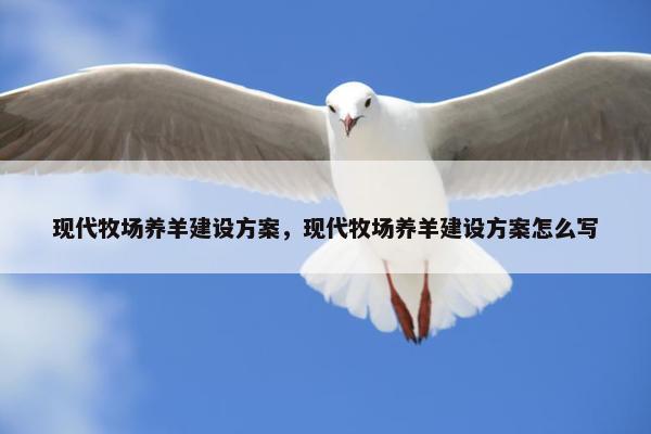 现代牧场养羊建设方案，现代牧场养羊建设方案怎么写