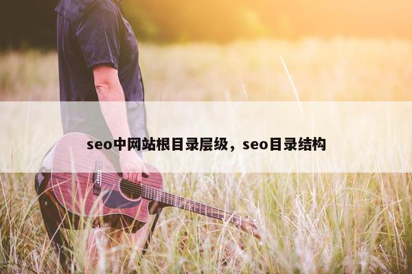 seo中网站根目录层级，seo目录结构