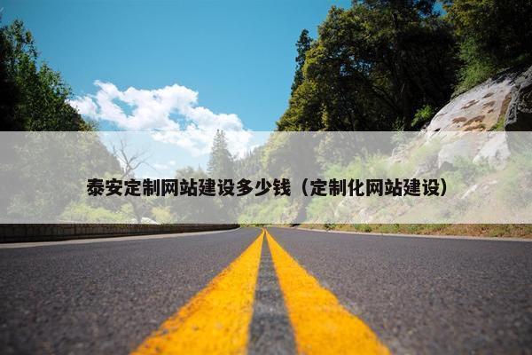 泰安定制网站建设多少钱（定制化网站建设）